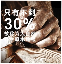 大自然地板22年功勛野生原木震撼亮相！