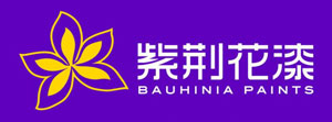 最受歡迎的水性漆品牌，最新的中國十大水性漆品牌排名