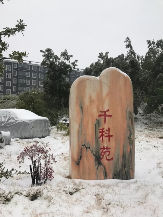 千科廚衛電器潘遠宏：智能產品、智慧營銷一手抓，終端是品牌最后浪潮！