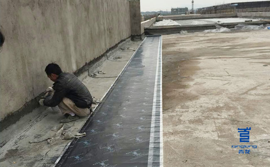 品牌人物|青龍建材區域經理：除了人脈，做防水還需要哪些？