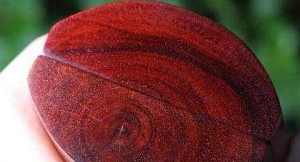 紅木家具中的小葉紫檀大葉紫檀，一字之差，二者有何不同？
