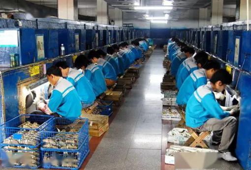 品牌招商|輝煌廚衛7大優勢，帶你快速掘金!