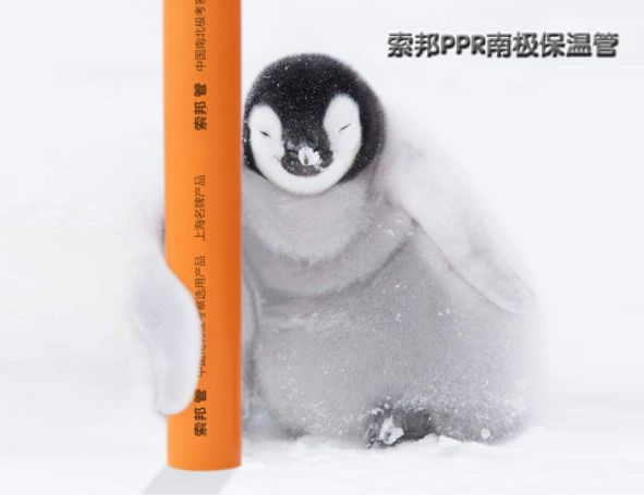 品牌產品|索邦PPR南極保溫管，企鵝寶寶最愛的高端管材