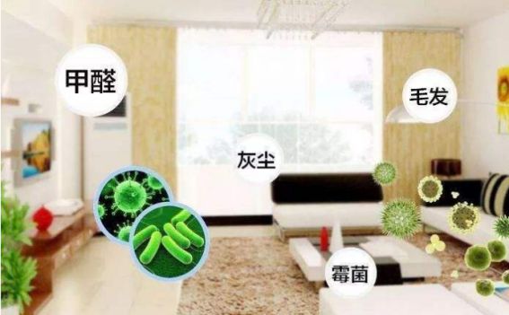 德國精工·諾森柏格是一個專注、專業的家用空氣凈化器品牌