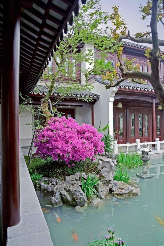山水為丹青，門窗為鏡頭！三宅門窗為中式建筑添彩… 