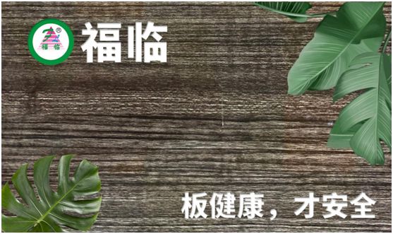 福臨板材：專注健康綠色家裝，造就生活不凡品味