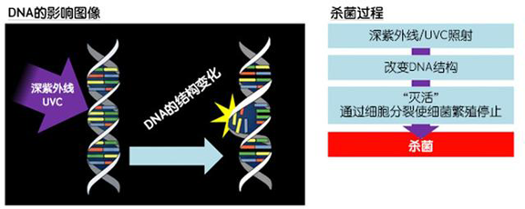 消費者開始關注到車載空氣凈化器，原來如此重要