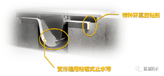 藍盾防水推出【云考察】欄目，帶大家用全新視覺看藍盾