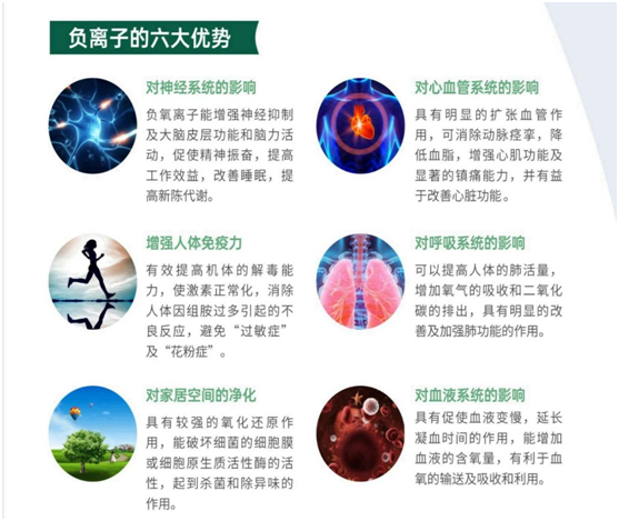 福臨板材實錘“科普”：健康板材盛勢開賣，三大標準賦能生態
