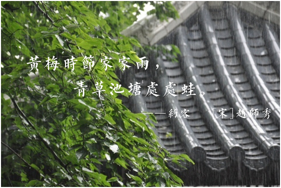 蒙蒂尼不銹鋼櫥柜，讓廚房告別梅雨季