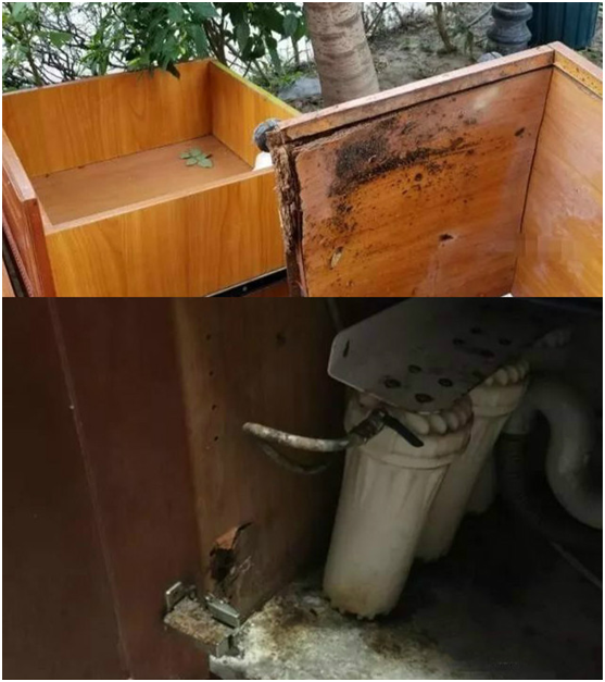 蒙蒂尼不銹鋼櫥柜，讓廚房告別梅雨季