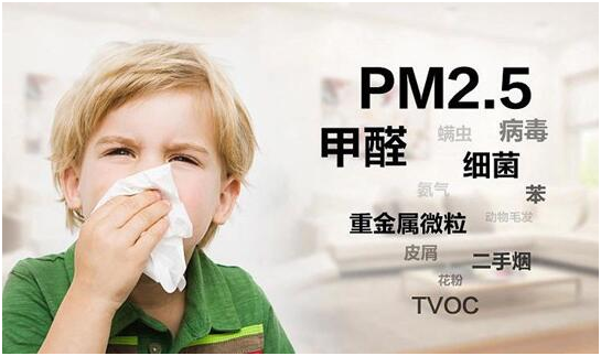 綠樹漆|“凈味呼吸”系列漆，開啟家居新“凈”界
