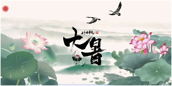 【大暑】將軍板材：炎炎夏日，一份家居清涼指南請查收